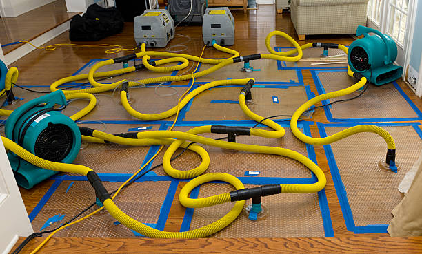Professional Water Damage Restoration technician working in Cleveland, TN